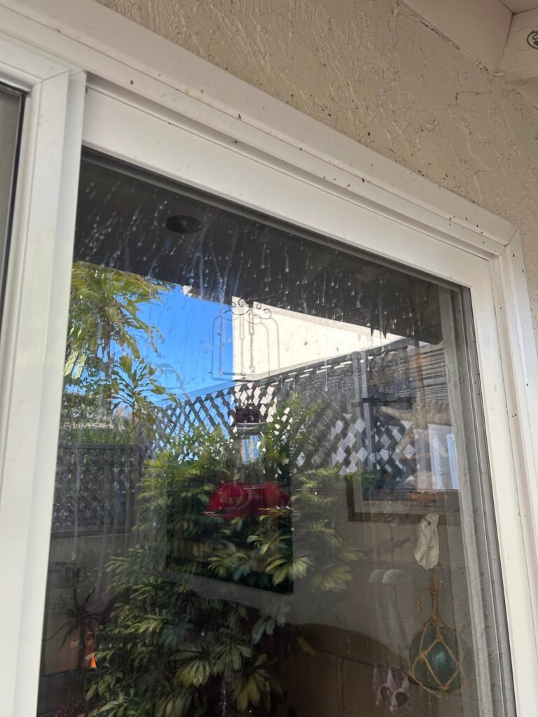 Window Cleaning Around Hummingbird Nests Project in Westminster CA 92683