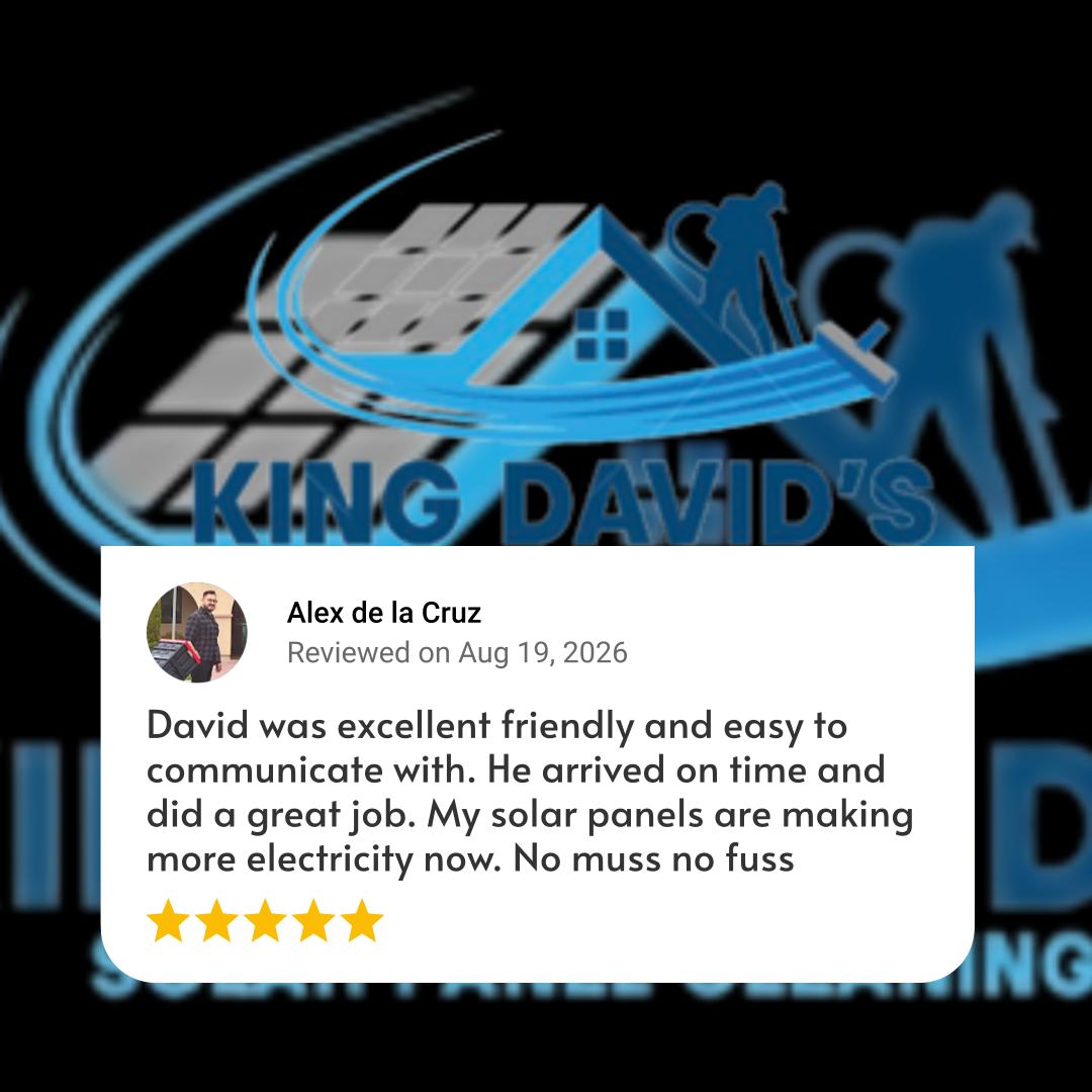 King David's Solar Panel Cleaning Review from Alex de la Cruz