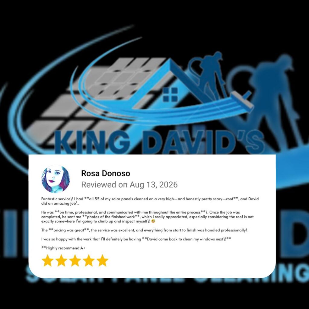 King David's Solar Panel Cleaning Review from Rosa Donoso