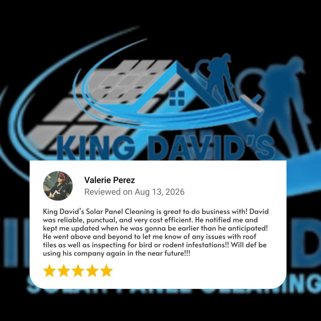 King David's Solar Panel Cleaning Review from Valerie Perez